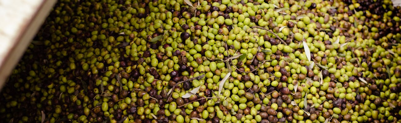 استمتع بنكهة زيت الزيتون الطبيعي