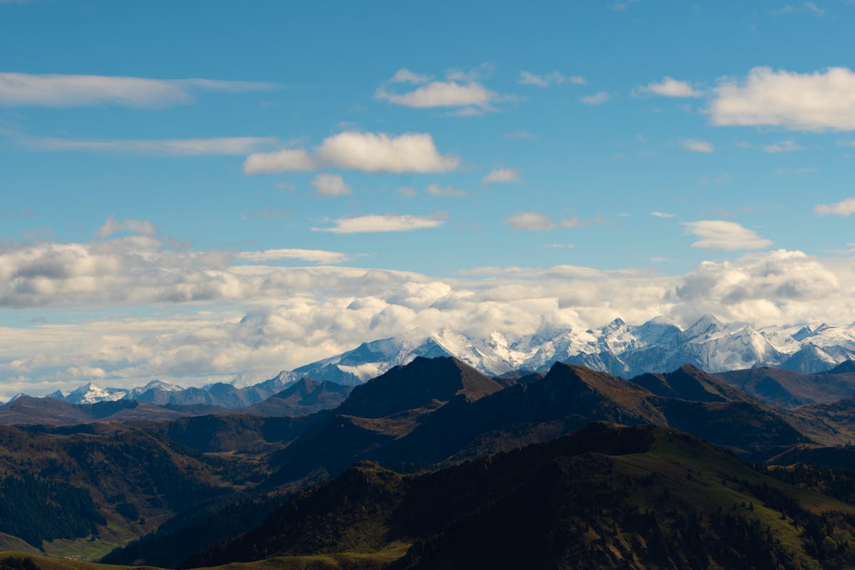 زيت زيتون معصور على البارد