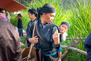 زيت زيتون من مزارع محلية